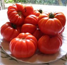 Aussie Tomato Seeds 20+ Seeds Non Gmo Fruit Herb Flower Seeds Fo Fresh - £8.45 GBP