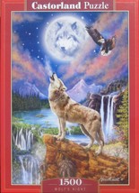 Castorland Wolf’s Night 1500 pc Jigsaw Puzzle Bald Eagle Full Moon - £17.39 GBP