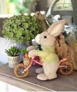Bristle Bunny on a Bicycle and Wicker Basket - $61.64 CAD