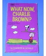 Peanuts Paperback Book Vintage 1972 Charlie Brown Snoopy - $18.99