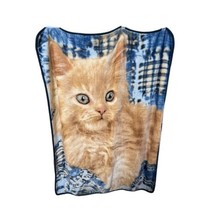 The Northwest Company Sign Greg Cuddiford Fleece Kitten Cat Throw Blanket 52x67 - £16.13 GBP