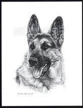 #290 GERMAN SHEPHERD portrait dog art print * Pen and ink drawing by Jan... - $12.50