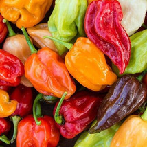 Rainbow Habanero Pepper Seeds Mix 30 Chocolate Red Orange Yellow Vegetables - £4.62 GBP