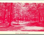 Boschetto Waldheim Park Allentown Pennsylvania Pa Unp Cromo Cartolina G10 - $7.13