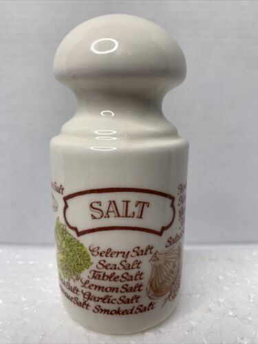 Vintage Ceramic Salt Shaker Only By Avon With Salts Types Of Salt And Food Items - $5.00