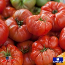 80 Big Rainbow Tomato Seeds Heirloom Vegetable Non Gmo Home Garden - £4.65 GBP