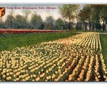 Washington Park Tulip Beds Chicago Illinois IL UNP DB Postcard Y6 - £3.17 GBP