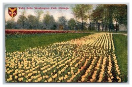 Washington Park Tulip Beds Chicago Illinois IL UNP DB Postcard Y6 - £3.17 GBP