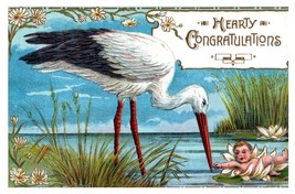 Expecting Baby Hearty Congratulations Stork Embossed Postcard Baby On Lilly Pad - £11.19 GBP