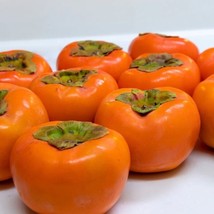 SGHOST Fuyu Asian Oriental Persimmon Fruit Tree Diospyros Kaki 5 Seeds Fresh USA - £6.65 GBP