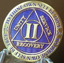 2 Year AA Medallion Purple Gold Plated Alcoholics Anonymous Sobriety Chi... - £14.09 GBP
