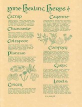 9 Herbs poster - $17.75