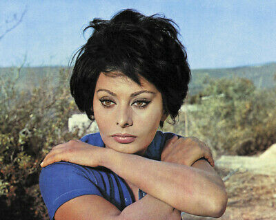 Judith Sophia Loren portrait with arms folded in blue dress 24X36 Poster - $29.00