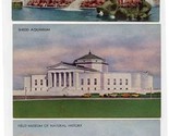 3 Century of Progress Postcards 1933 Field Museum Shedd Aquarium Bucking... - $11.88