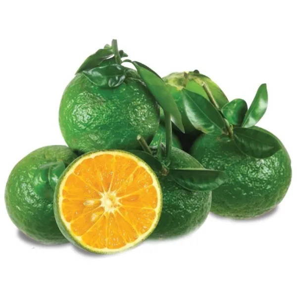 Green Skin Orange Fruit 10 Seeds 2023 Usa Garden Fresh - £15.76 GBP