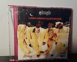 The Pharcyde - Labcabincalifornia (CD, 1995, delizioso vinile) - $18.92