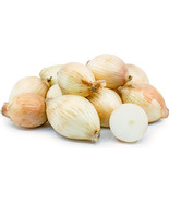 500+ Maui Onion Seeds - €9,43 EUR 500+ Maui Onion Seeds - €9,43 EUR