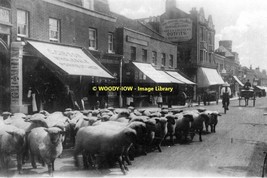 rp13041 - Sheep on the High Street , Watford , Herts - print 6x4 - $2.80