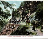 Vintage M. Rieder Postcard - Climbing the Mountain Trail in California  - $5.85