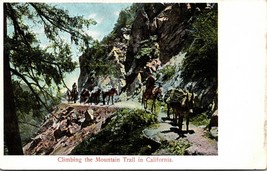 Vintage M. Rieder Postcard - Climbing the Mountain Trail in California  - £4.59 GBP