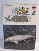 1978 Walt Disney&#39;s Fun &amp; Facts Flashcard #DFF1-8: Whales - $2.00
