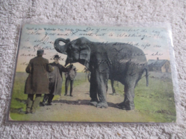 Toledo Ohio 1909 Walbridge park Bae Elephant Postcard Posted - $14.84
