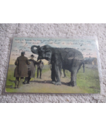 Toledo Ohio 1909 Walbridge park Bae Elephant Postcard Posted - $283.06 MXN