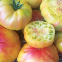Striped German Tomato Organic US Fast Shipping - $37.22 MXN