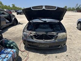 Grille Lower Bumper Mounted Center Fits 06-08 BMW 750i 104639398 - $2,704.07 MXN