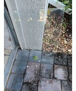 240350608 Crisper Glass Pan Cover Insert Compatible with Frigidaire Refr... - $25.31 CAD