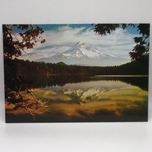 Reflection Of Mt. Hood On Lost Lake Summer Time Scenic View Vintage Postcard - £6.21 GBP