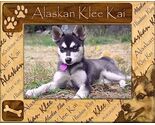 Alaskan Klee Kai Laser Engraved Wood Picture Frame Landscape (3 x 5) - $25.99