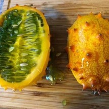 Jelly Melon Seeds Organic Aka African Horned Cucumber Kiwano Fresh Gardening USA - $6.38