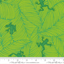 Moda JUNGLE PARADISE Seedling 20786 19 Quilt Fabric By The Yard - Stacy Iest Hsu - £8.87 GBP