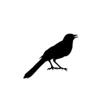 Bird Vinyl Decal Design 1-4&quot; wide x 3.38&quot; Tall - £3.94 GBP