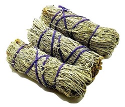 Desert Sage Smudge Stick 4&quot; Natural Cotton Bind x 3 Cleansing by Sage Sp... - £9.56 GBP