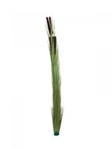 EUROPALMS Reed With Piston, Artificial, Light Green, 152cm - £27.85 GBP