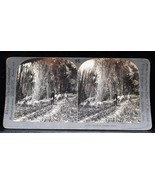 Antique Keystone Co Stereoview Natives Bamboo Jungle Java 56 16403 Rare - $371.09 MXN