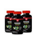 antioxidant blend - IMMUNE SUPPORT COMPLEX - graviola power 3B - $45.23