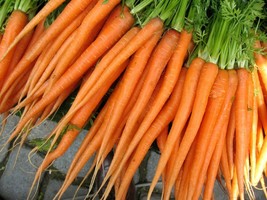 BStore 700 Tender Sweet Carrot Seeds - $8.59