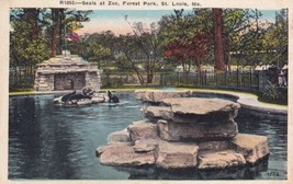 Seals at Zoo Forest Park St. Louis Missouri MO Beacon Series Postcard B03 - $2.99