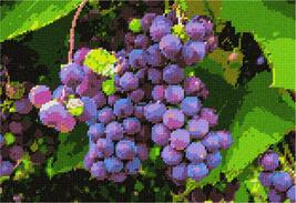 Pepita Needlepoint Canvas: Grapes in Vineyard, 12&quot; x 8&quot; - $86.00+