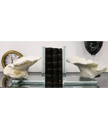 Nautical Coastal Marine White Sea Montipora Corals Acrylic Glass Bookend... - $1,877.69 MXN