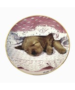 Hamilton Collection Golden Puppy Portraits &quot;Do Not Disturb&quot; Paulette Brown - $185.41 MXN