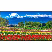 NEC M751 75 Led LCD Uhd 24/7 500nits High Haze Hdmi X2/Out Dp X2/Out SDM... - $96,656.93 MXN