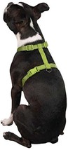 Zack &amp; Zoey 5/8-Inch Nylon Dog Harness with Nickel-Plated D-Ring and Plastic Buc - £10.42 GBP