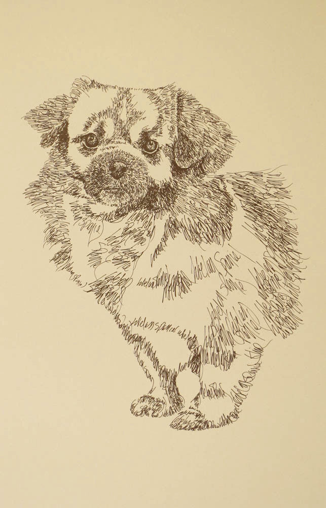 Tibetan Spaniel Dog Art Portrait Print #24 Kline adds dog name free WORD DRAWING