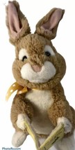 Sound N Light Talking Storytelling PETER RABBIT Bunny Plush Stuffed Toy Easter - £17.72 GBP
