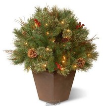 24&quot; Pine Porch Bush with Clear Lights Indoor Outdoor Topiary - £53.14 GBP