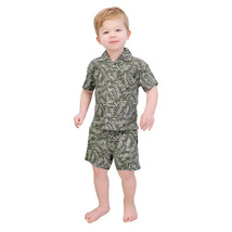 DKNY Baby Boys Size 18 Months Green 2-piece Cabana Shirt and Shorts Set NWT - $156.08 MXN